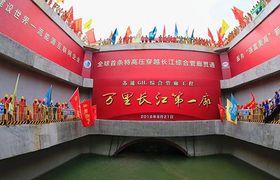 苏通.jpg